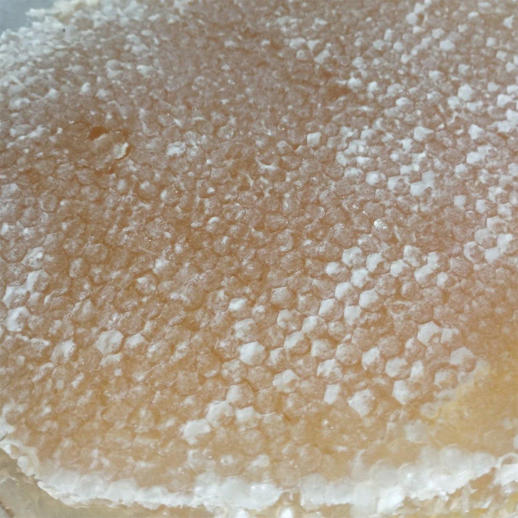 عسل باموم طبیعی